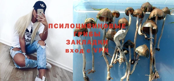 мдпв Арсеньев