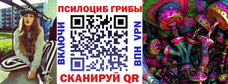 hydra ONION  даркнет сайт  Чебаркуль  Псилоцибиновые грибы GOLDEN TEACHER 
